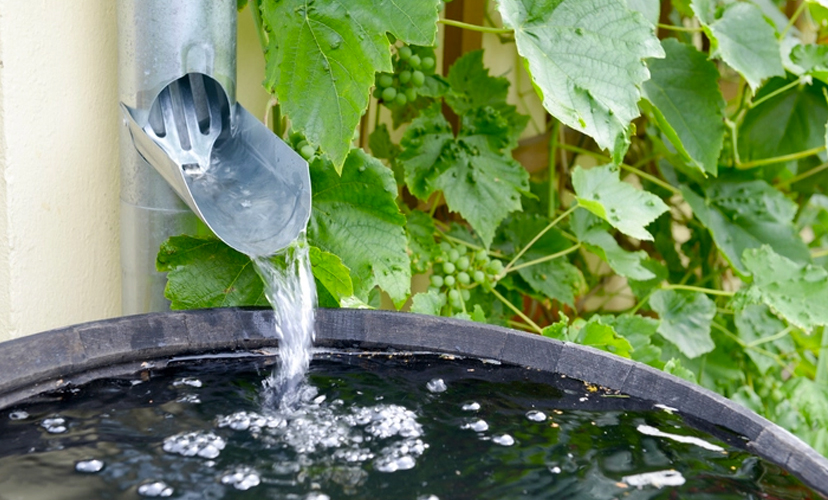 Recipiente coletando água de chuva